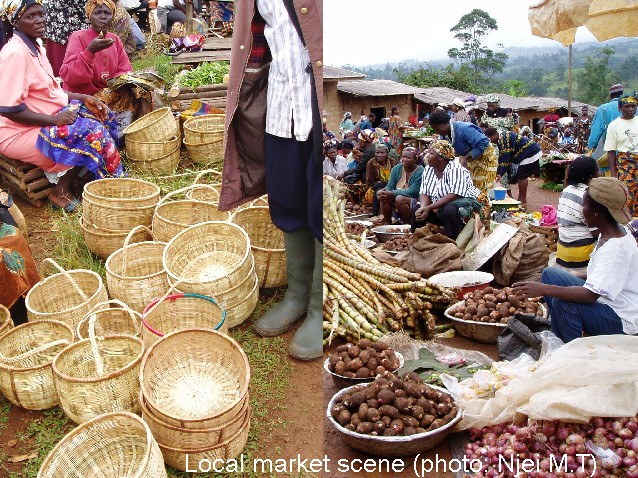 Local market scene (photo: Njei M.T)